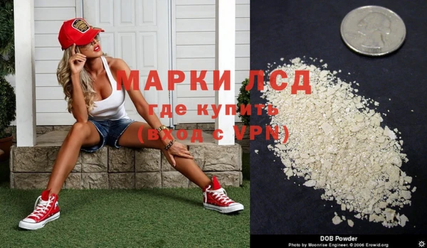 гидра Новодвинск