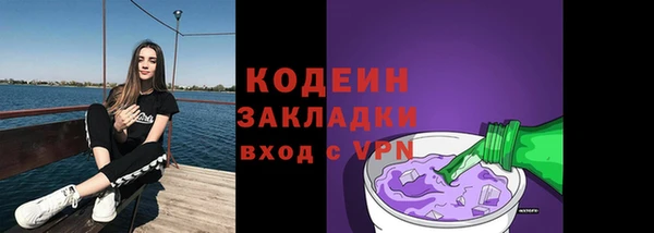 хмурый Абаза