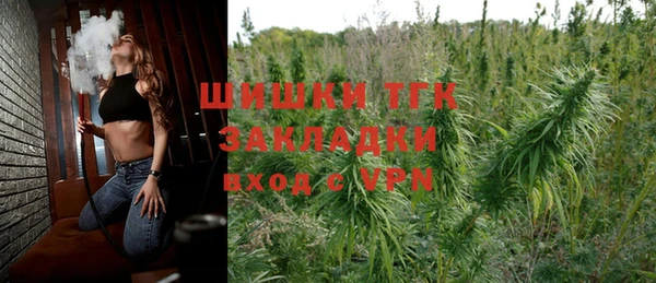 шишки Абинск
