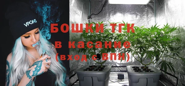 хмурый Абаза