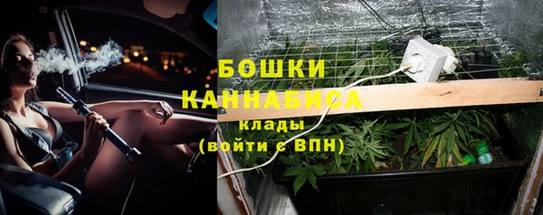 шишки Абинск