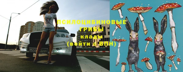 шишки Абинск